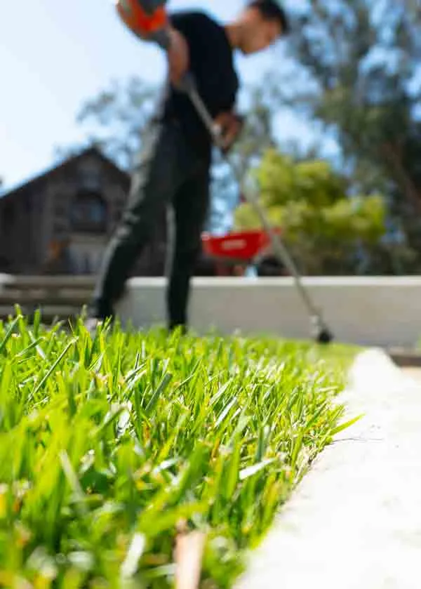 Manteniment de Jardins Professionals Treballador de jardineria cuidant el gespa en un jardí de verdiviu.