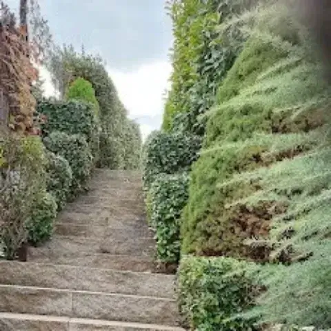 Servei de Poda i Manteniment de Jardins Servei de Poda i Manteniment de Jardins