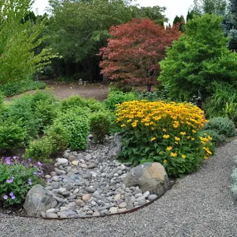 Servei de Jardineria professional Servei de Jardineria professional